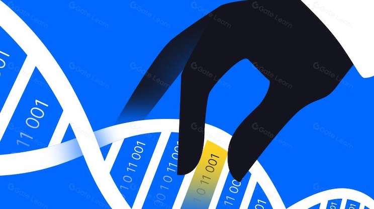 鲍威尔鸽派放水,比特币(btc)为何仍然“任性下跌”? - php中文网